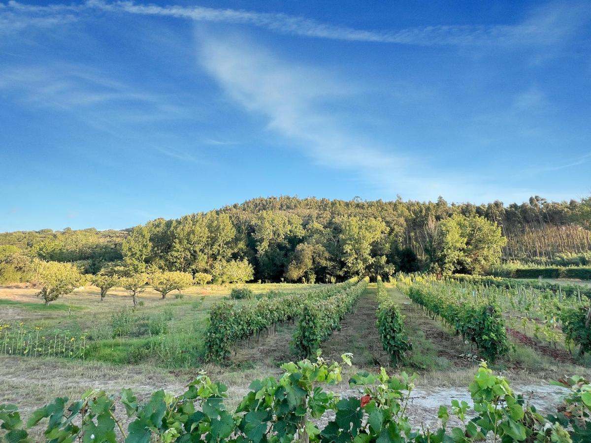 مبيت وإفطار São Bartolomeu Quinta Mourada المظهر الخارجي الصورة