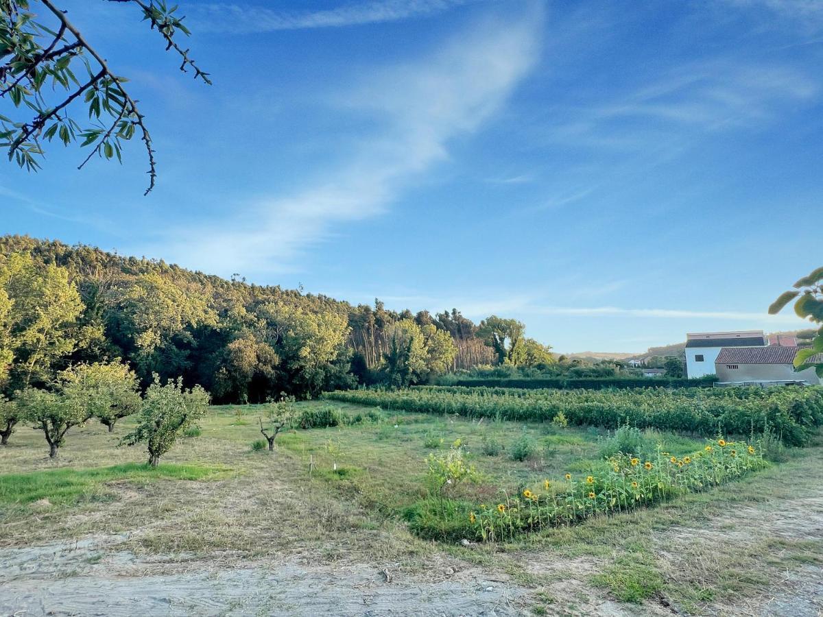 مبيت وإفطار São Bartolomeu Quinta Mourada المظهر الخارجي الصورة